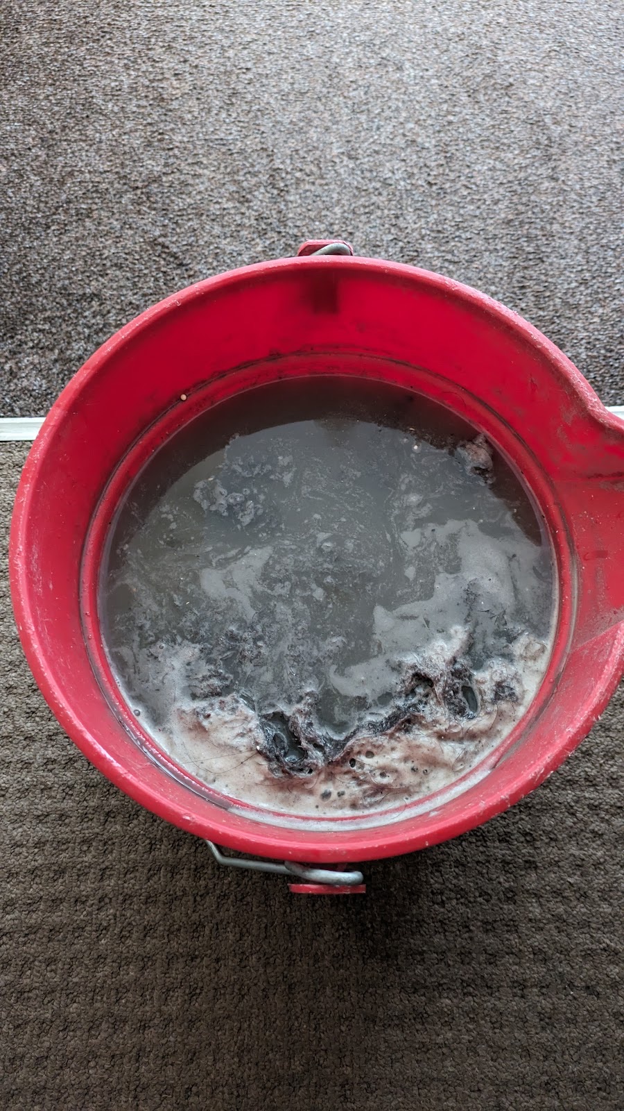 Sparkles Carpet Cleaning Services in Romford London